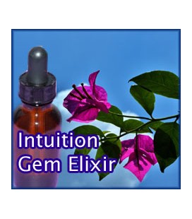 Intuition Gem Elixir