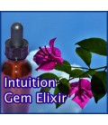 Intuition Gem Elixir