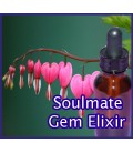 Soulmate Love Gem Elixir