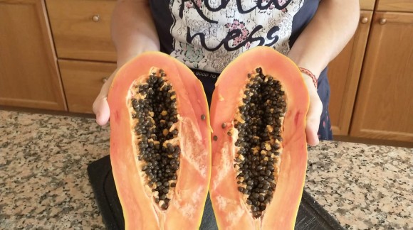 Papaya Seeds, Parasites and Spiritual Connection